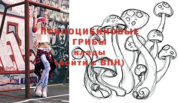 стафф Медвежьегорск