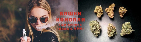 стафф Медвежьегорск