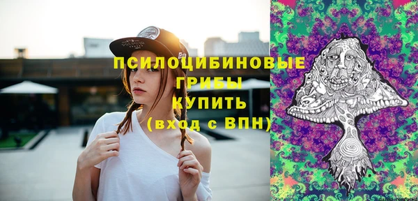 стафф Медвежьегорск